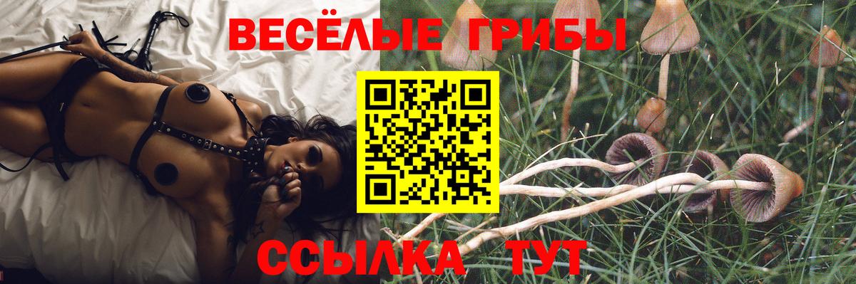 Псилоцибиновые грибы мухоморы Ржев